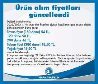 Marmarabirlik zeytin fiyatlarını güncelledi