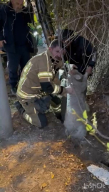 Bursa'da su kanalına düşen kuzu kurtarıldı