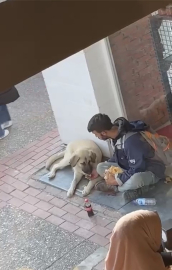 Bursa'da yemeğini sokak köpeği ile paylaşan kişi büyük takdir topladı