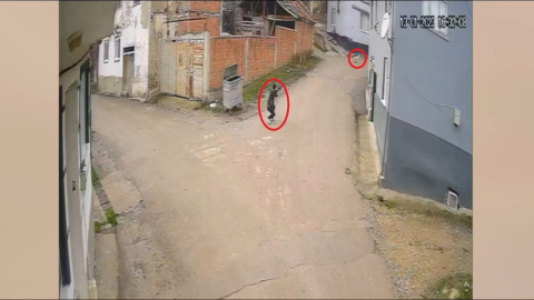 Bursa'daki hayvan katili daha önce de başka bir köpeği yaralamış