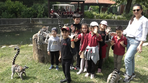 Öğrenciler Bursa'da lemurları elleriyle besledi