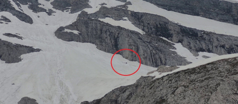 Kış uykusundan uyanan ayı ailesi Uludağ'da görüntülendi