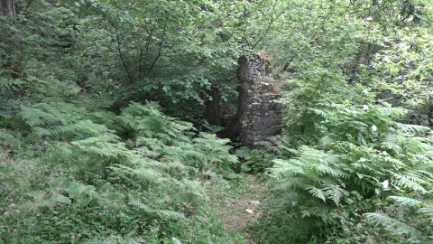 Uludağ'ın eteklerinde 600 yıllık tarihi hamam defineciler tarafından talan edildi