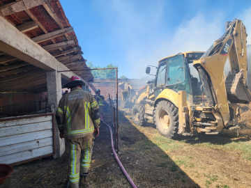 Bursa'da yanan ahır küle döndü: 2 hayvan hayatını kaybetti