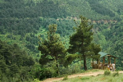 Bursa'da ormanlarda ateş yakmak yasaklandı