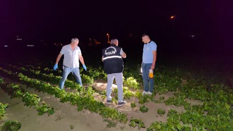 Bursa'da yeni doğum yapan köpeği av tüfeğiyle vurdular