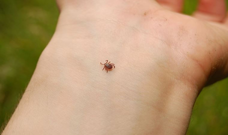 Kene kabusu yine mi başlıyor?: 22 yaşındaki kadın hayatını kaybetti