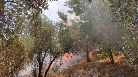 Bursa'da aynı anda 4 farklı noktada yangın: Sabotaj ihtimali değerlendiriliyor