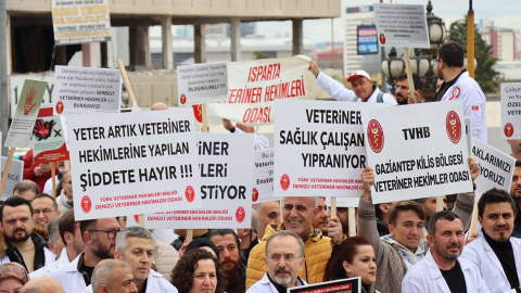 Veteriner hekimler iş bırakmaya hazırlanıyor