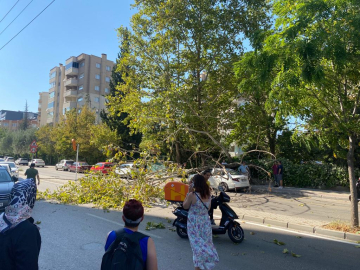 Bursa’da ağacın devrilmesi sonucu motokurye yaralandı
