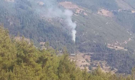 Adana'da orman yangını