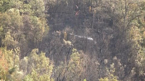 Bursa'da bir kişi çöp yakarken yangın çıkardı: Bir köpek hayatını kaybetti