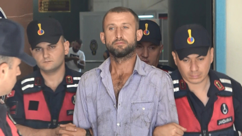Bursa'da 3 ay önce ormanı yakan sanığa tahliye kararı
