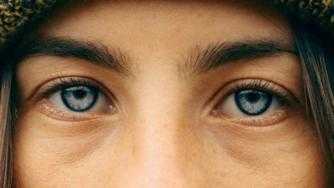 Neden kaşlarımızı var?