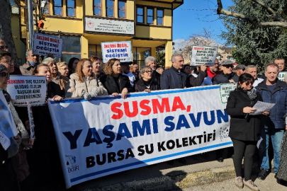 Bursa Su Kolektifi: Bursa'da 4 milyon metrekarelik alan orman vasfından çıkarıldı