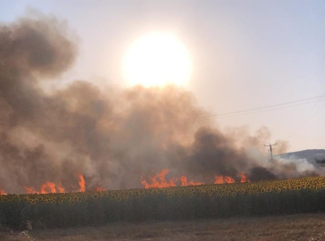 İnegöl'de enerji nakil hattı kablosu koptu: 60 dönüm tarla kül oldu