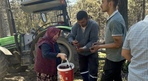 Bursa'daki orman yangınında yürekleri serinleten detay