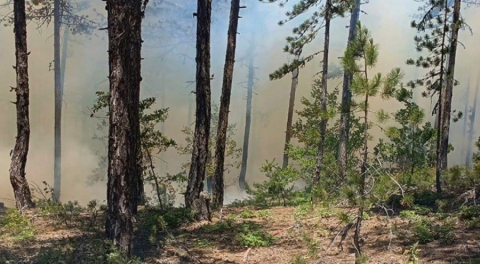 Bursa Valiliği vatandaşları duyarlı olmaları konusunda uyardı