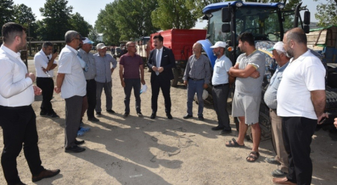 TMO buğday ve arpa alımına başladı