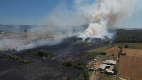 Bursa'daki yangın ormana sıçradı: Yangında küçükbaş hayvanlar öldü