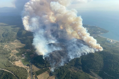 İzmir'deki yangınlar söndürüldü
