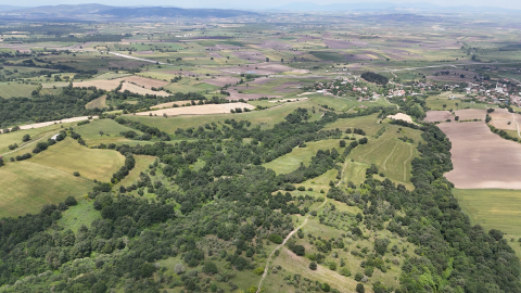 Arazi Uzmanı Çakır anlattı: Arazi satın alırken püf noktalar