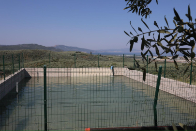 Gemlik'te zeytin üreticilerine müjde: Tarımsal sulama havuzu hizmete açıldı