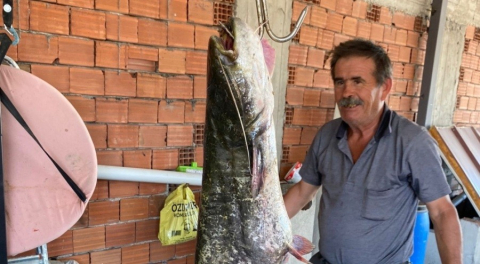 Bursa’da barajda 87 kilogramlık balık yakalandı