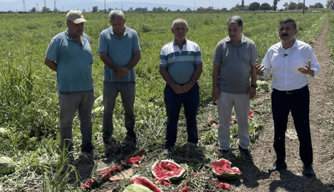 İYİ Partili Türkoğlu’ndan çiftçilere destek çağrısı: 'Karpuz tarlalarında çaresizlik hakim"