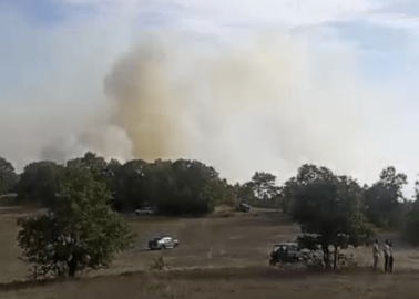 İznik'te korkutan yangın: Müdahale sürüyor