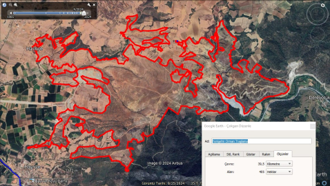 Bursa'da doğa katliamı: 4 milyon metrekare orman yok oldu!