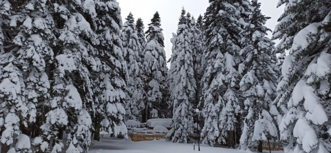 Uludağ'da kar kalınlığı 1 metreye yaklaştı
