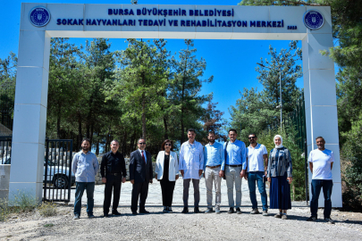 Bursa'da can dostlar için önemli proje