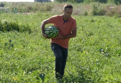 "Çiftçinin anası ağlıyor" demişti: Bursalı üreticiye 'Cumhurbaşkanına hakaret' davası