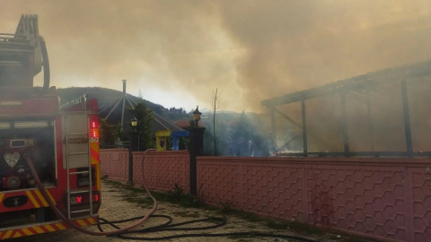 Bursa'da at çiftliğinde yangın paniği