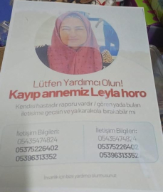 Bursa'da kaybolan kadın her yerde aranıyor
