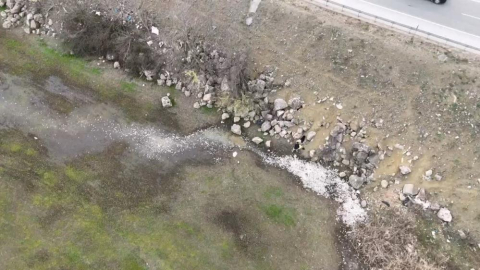 Binlerce balık öldü: Bursa’da çevre felaketi