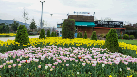 Bursa'da parklar lale ve çiçeklerle renklendi