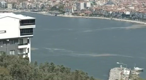 Gemlik Körfezi'nde müsilaj kabusu geri döndü