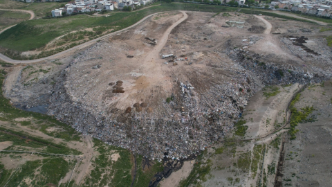Osmangazi'de hayvan katliamı iddiası: Belediye'den “organize eylem var” açıklaması