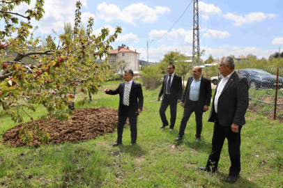 Bursa Büyükşehir zirai don mağduru çiftçinin yanında