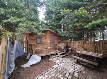 Uludağ’da günlük 580 liraya orman evi: Talep patlaması bekleniyor