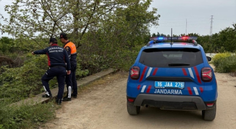 İznik Gölü'nde kaçak avcılığa operasyon