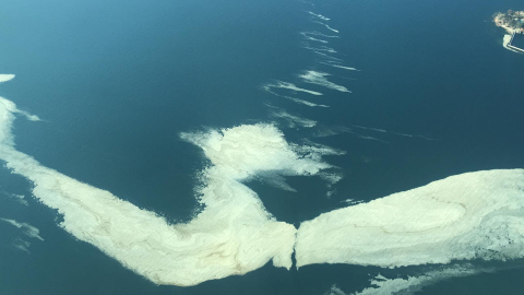 Marmara'da kabus yeniden görüldü: Müsilaj nedir?