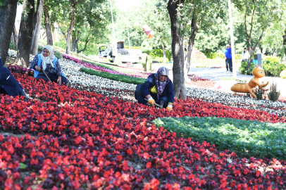 Osmangazi yazı çiçeklerle karşılıyor: 262 bin çiçek toprakla buluştu