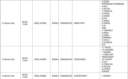 Bursalılar dikkat: İşte 10 Haziran'a kadar elektriklerin kesileceği ilçe ve mahalleler...