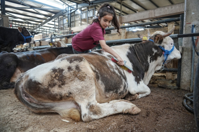Muş’tan Bursa’ya kurbanlıkla geldiler, pazarda en çok onlar dikkat çekti