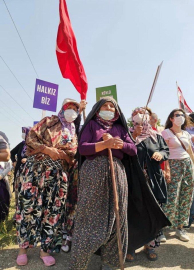 Yenişehir Çevre Platformu'ndan Dünya Çevre Günü açıklaması: Doğayı değil felaketi büyütüyoruz
