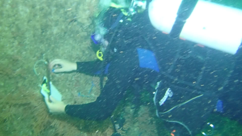 Müsilaj tehlikesi geri döndü: Marmara’da derin deniz suyu ısındı