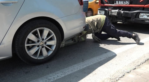 Bursa'da yavru kedi trafiği kilitledi